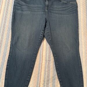 Torrid Dark Blue Skinny Jeans